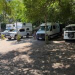 WhatsApp Image 2026-02-11 at 11.27.40